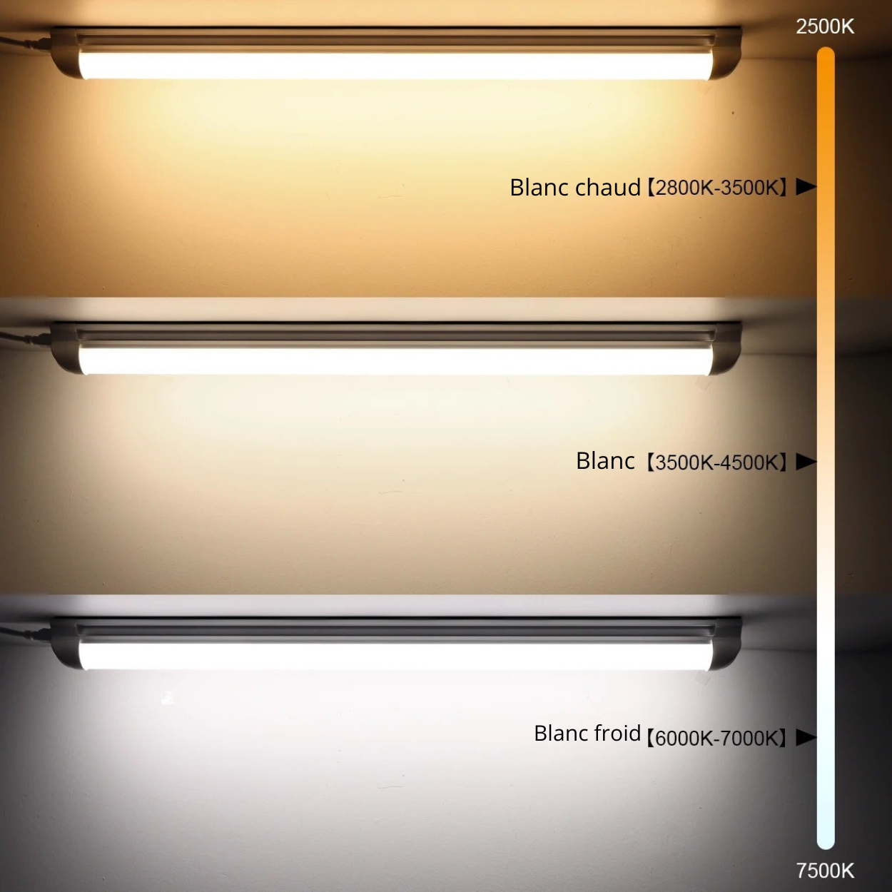 Tube LED - T8