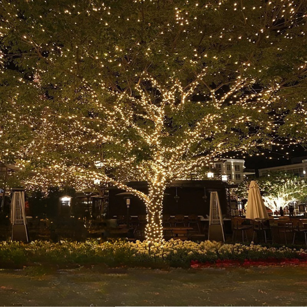 Guirlande Extérieure Blanc Chaud