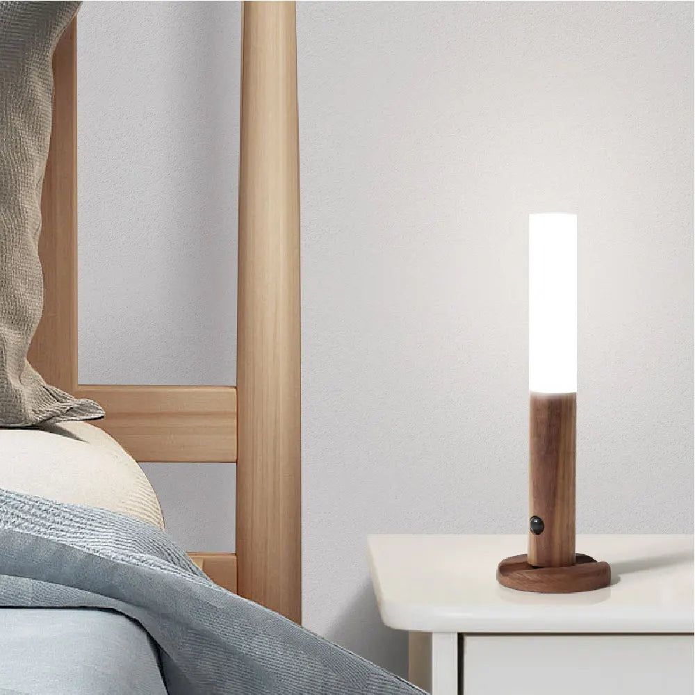 Wall Light - Portable