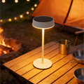 Lampe Solaire En Métal