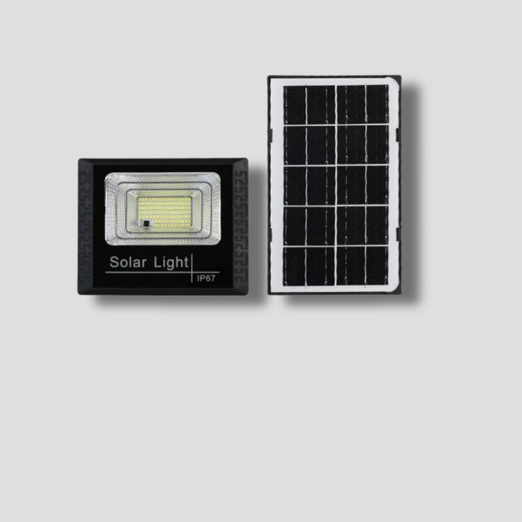 Outdoor LED Projector - Black