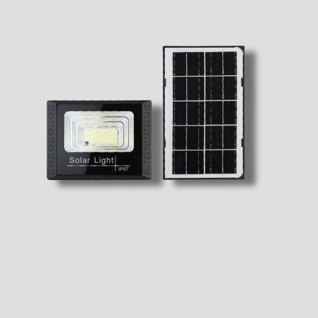 Outdoor LED Projector - Black