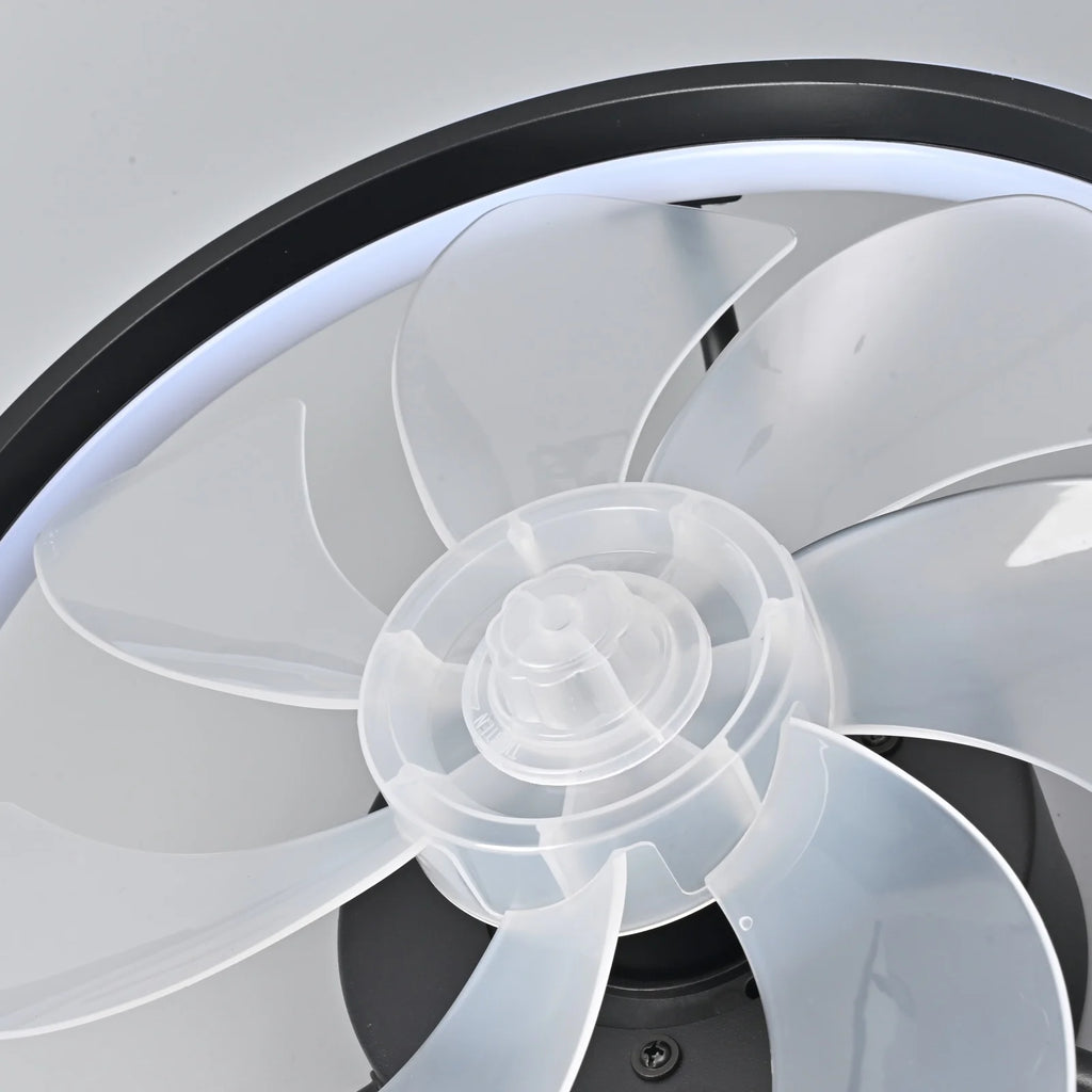 Ceiling Fan Light - Black