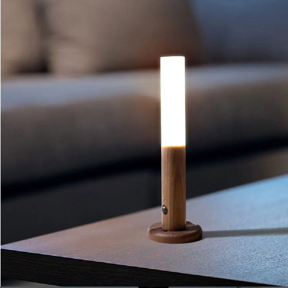 Wall Light - Portable