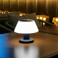 Lampe De Lecture Solaire