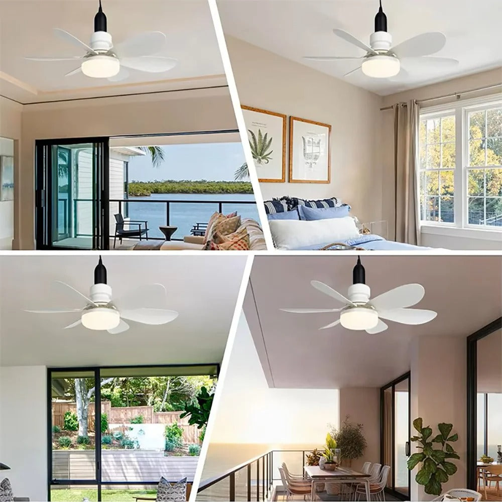 Fan Light - 5 Palms